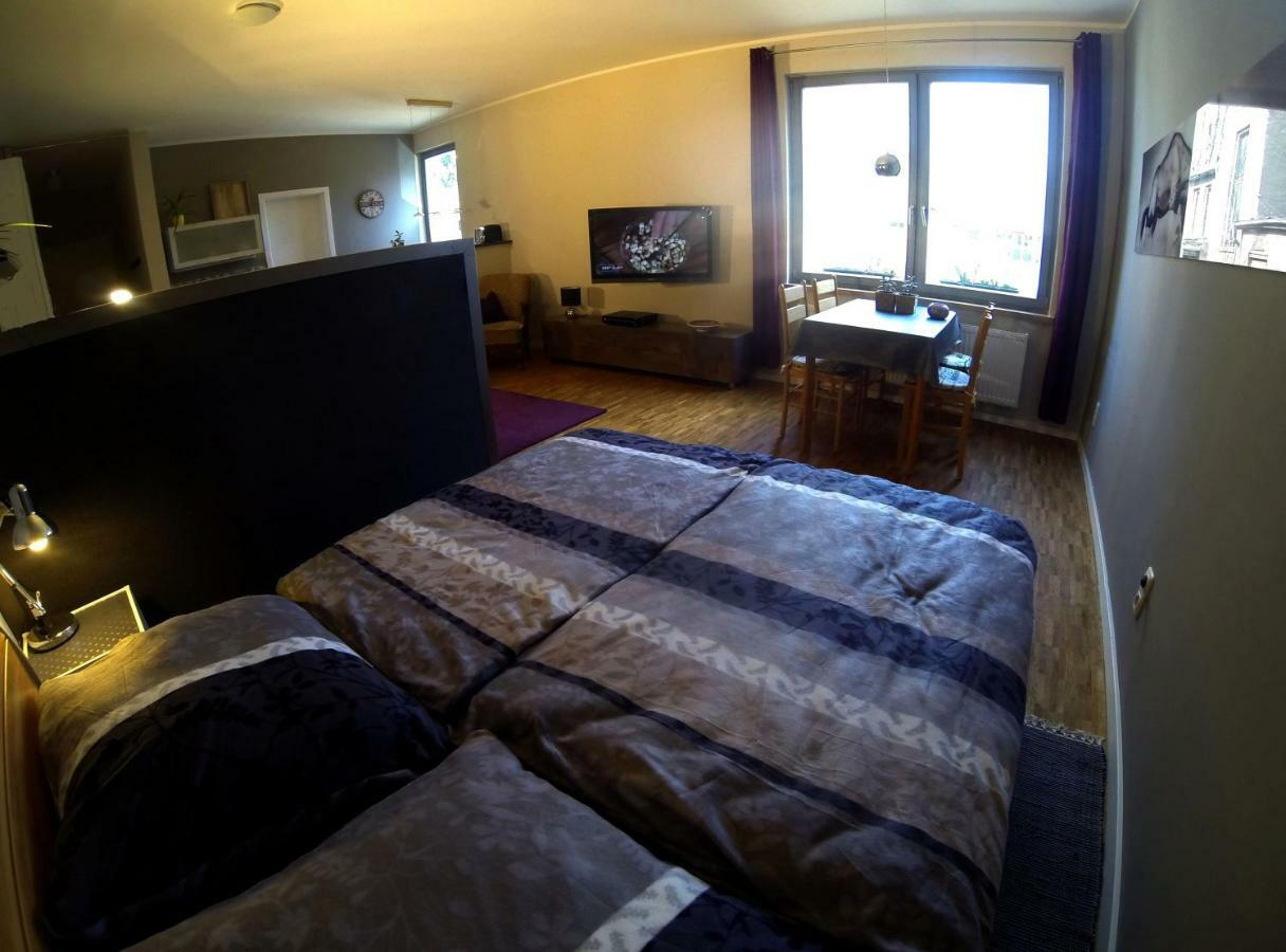 Apartment Papiermuehle24 Ерфурт Екстер'єр фото